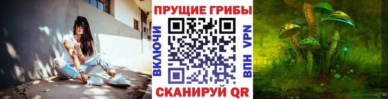 Псилоцибиновые грибы мицелий Заринск